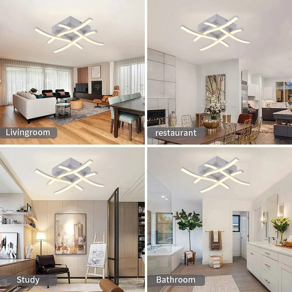 Modern Living Room Light  Restaurant 3-color Variable Light Bedroom Balcony LED Ceiling Light 24W Curved Design